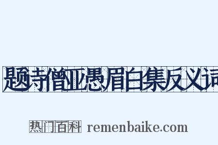 题诗僧亚愚眉白集反义词是什么意思的图片